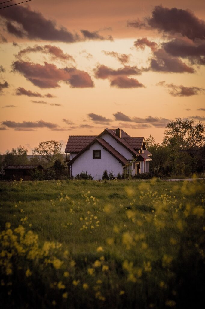 house, flower background, meadow